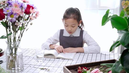 午后在阳光下读书的中国女孩视频素材模板下载