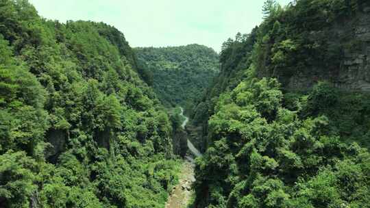 深山丛林 峡谷 航拍