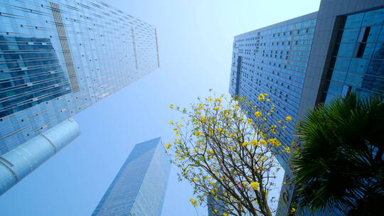 南宁五象新区街景 现代化高楼林立城市穿梭