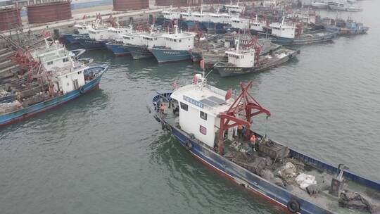 港口码头岸边停靠的渔船视频素材模板下载