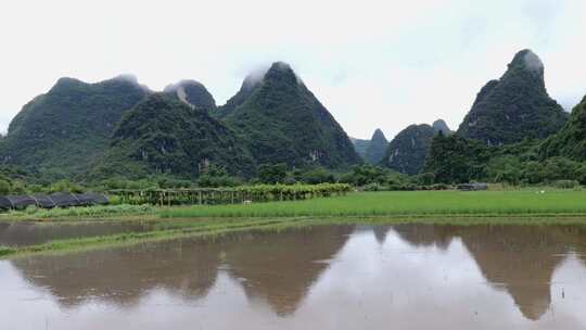 山水田园风景图，水田倒映着群山