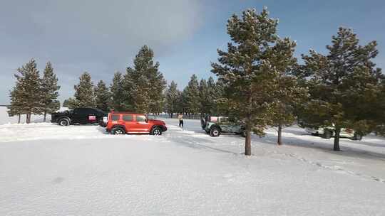 雪地松林旁停放的多辆越野车