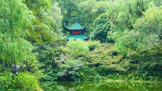 长沙岳麓山5A景区爱晚亭延时摄影