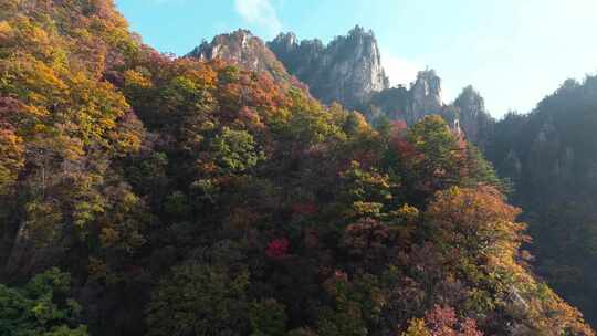 南阳老界岭秋景风光