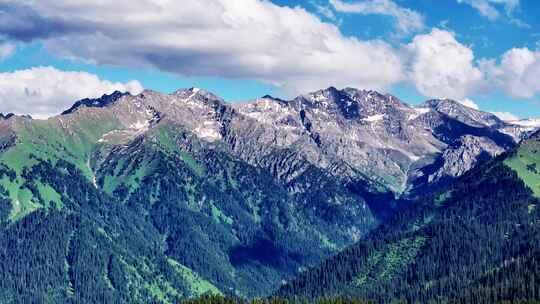 山林间的航拍全景