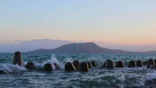 海上四足动物