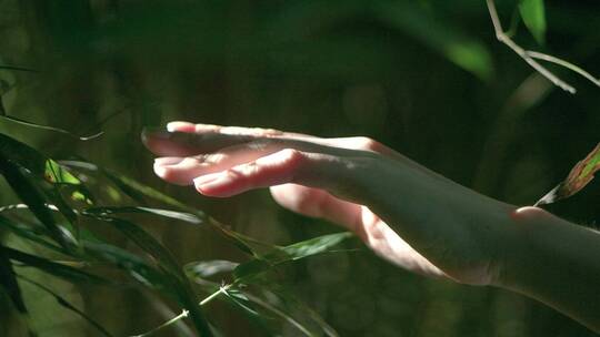 下雨的树林中女孩伸手抚摸竹叶唯美视频素材