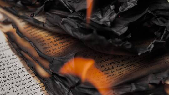 火焰烧毁了一本书的页面