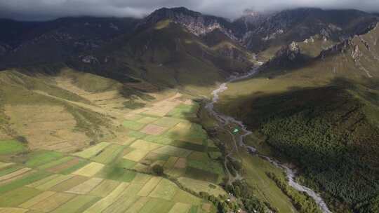 青海互助龙王山山峰树木航拍视频