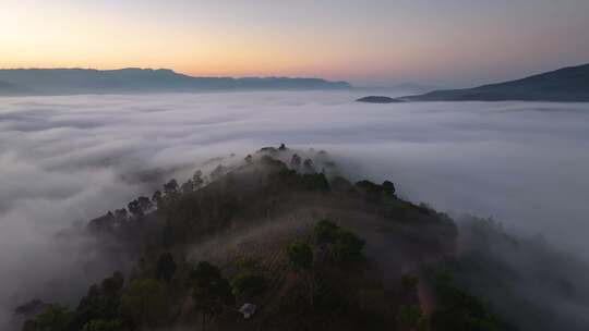 景迈山茶山云海