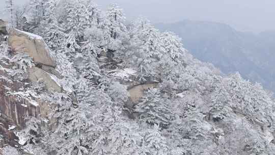 南太行伏牛山雪景雾凇云海自然风光