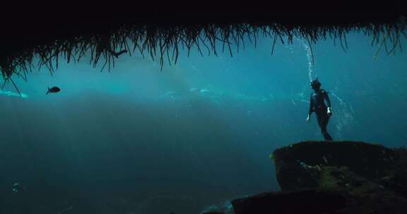 潜水员，潜水服，浮潜，海底