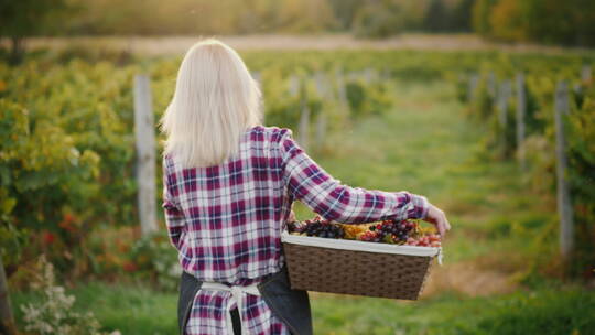 女农民带着一篮子葡萄