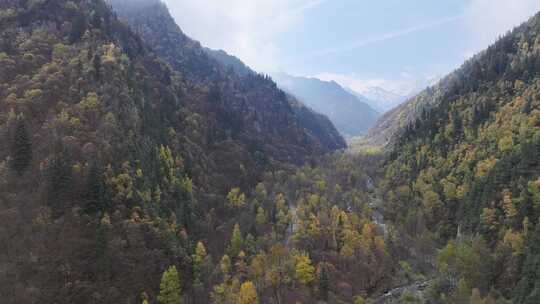 青海互助北山秋林云雾航拍视频