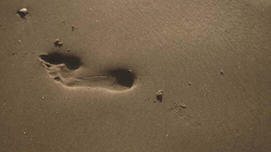 沙滩湿沙上的脚印