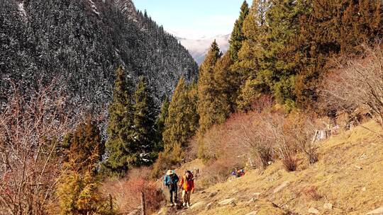 攀登岷山山脉雪宝顶雪山的登山者徒步进山