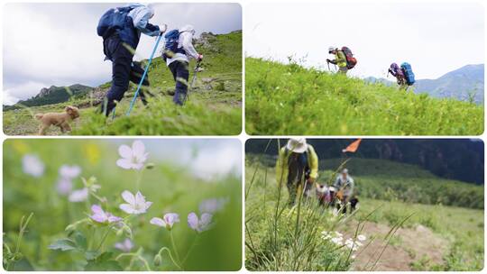 户外登山亲近大自然高清在线视频素材下载