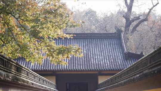 新昌大佛寺