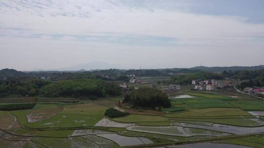 山区田野