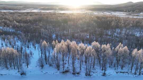 航拍雪原阳光树林雾凇