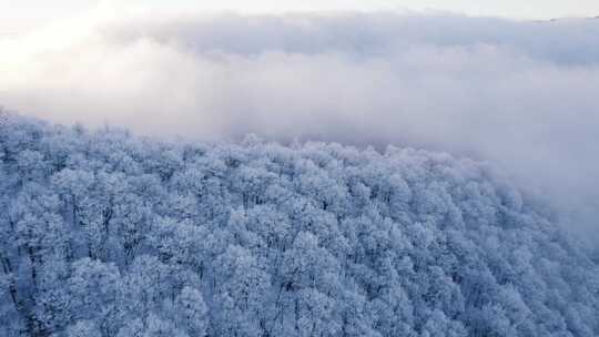雪景冬季航拍雾凇，大兴安岭