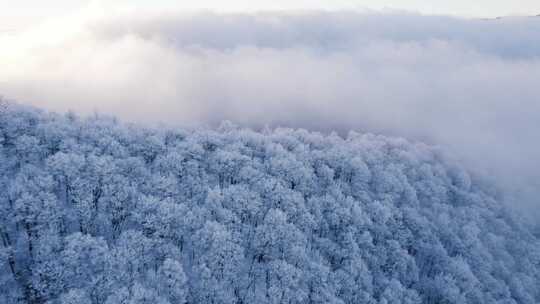 雪景冬季航拍雾凇，大兴安岭视频素材模板下载