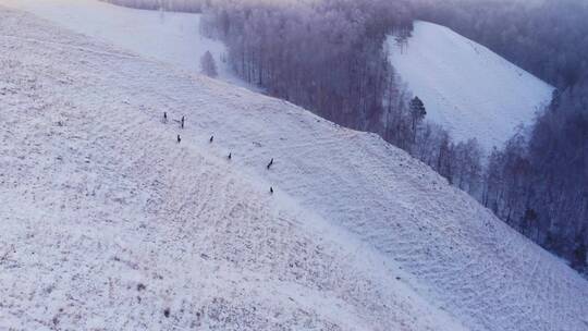 4K登峰登山高山雪山攀登冬季滑雪