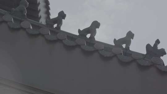 学校实拍万能空镜镜头