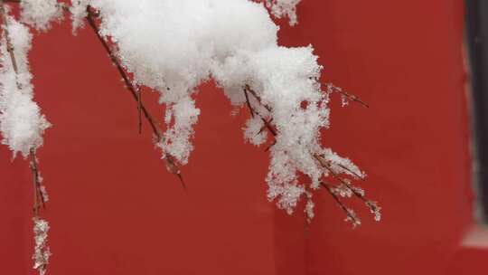 红墙白雪