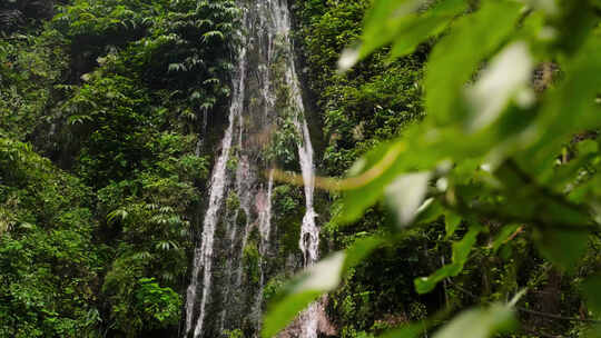 森林山泉小溪流水视频素材模板下载