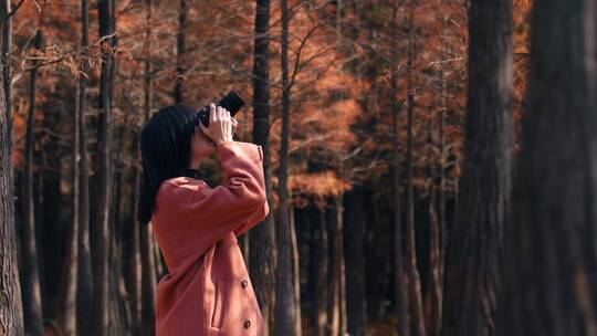 女孩在树林摄影行走游玩旅行4k视频素材