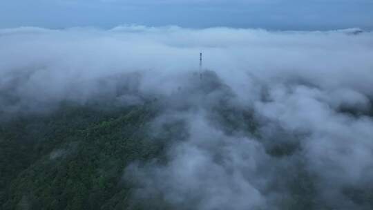 航拍雨天森林云雾通信信号塔