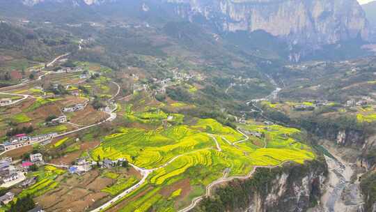 湖北恩施5A景区大峡谷绝壁花海航拍