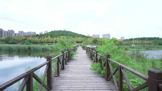 武汉江夏区藏龙岛国家湿地公园