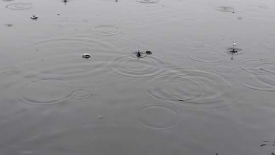 雨天地面被雨滴打湿的场景