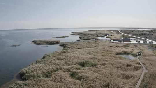 航拍内蒙古阿拉善盟额济纳旗居延海秋季风光