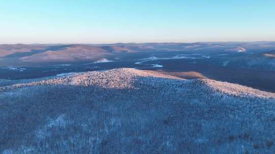 大兴安岭冬季黎明雪色山林