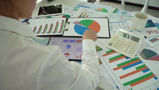 企业白领分析公司财报数据图表