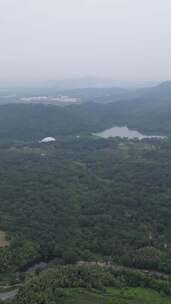 竖版航拍江苏南京牛首山景区