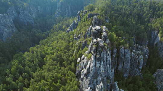 高耸的岩层被茂密的常绿森林包围着