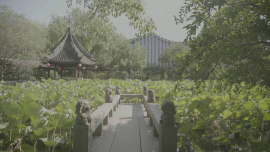 上海古建醉白池空镜实拍