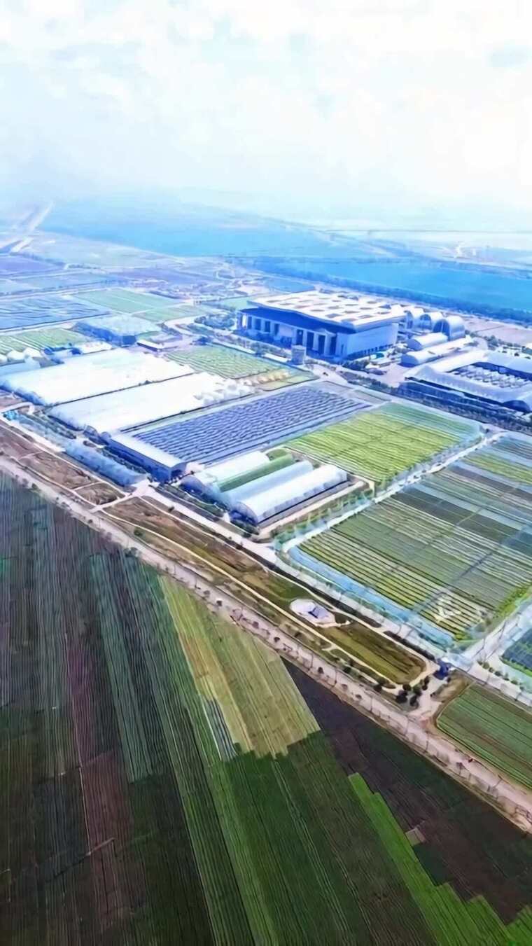 农业基地农田大棚航拍