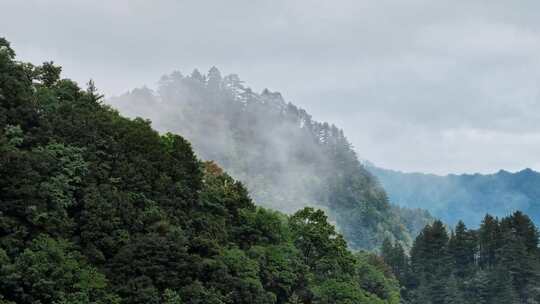 秦岭云海秘境