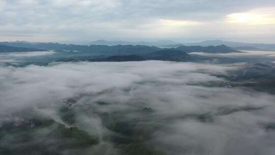 云雾笼罩的山野