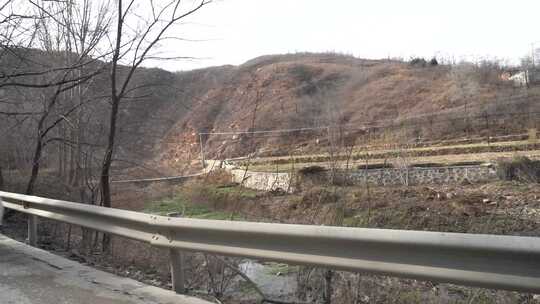 旅行 沿途 风景 公路 树