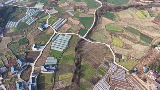 乡村农业大棚与田野的鸟瞰全景