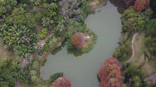 广州华南植物园航拍