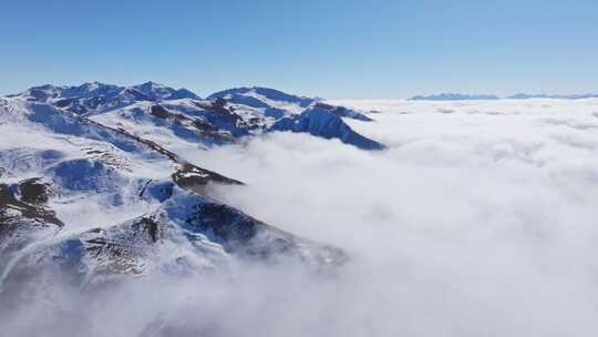 4k航拍森林草原雪山云海