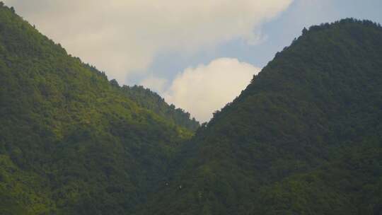 娄山关森林自然云雾山脉绿水青山树林云海