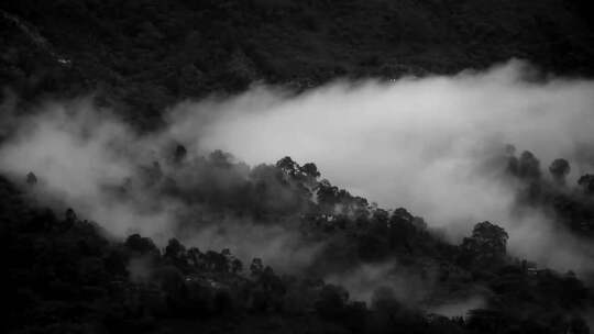 黑白色彩的云雾和森林